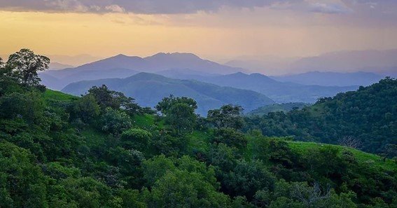 Why Is Mount Chappal Waddi Significant